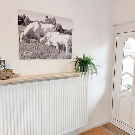 公寓 Biohof Mindermann 克尔贝格