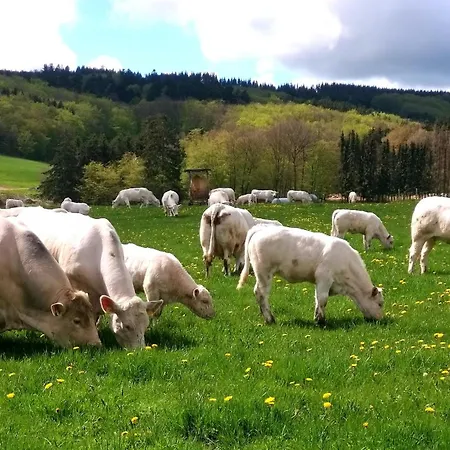 Biohof Mindermann 公寓 *