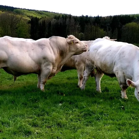 Biohof Mindermann 公寓 克尔贝格