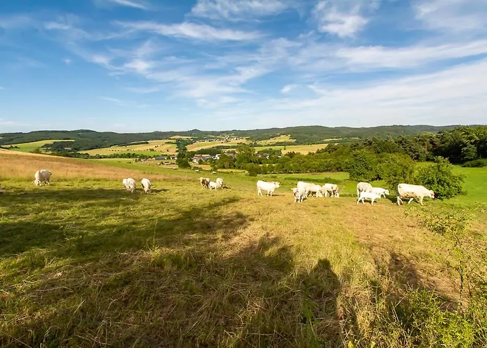 Апартаменты Biohof Mindermann *