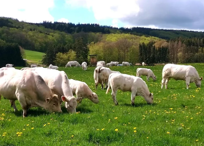 Biohof Mindermann Апартаменты *