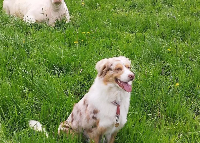 Апартаменты Biohof Mindermann Кельберг